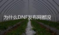 为什么DNF发布网都没有女鬼剑（dnf女鬼剑没有转职任务）