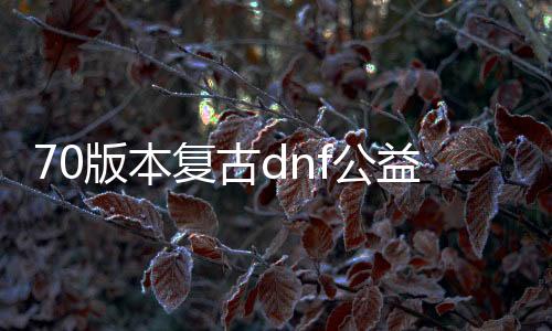 70版本复古dnf公益服发布网哪个好,70版本复古dnf公益服发布网推荐