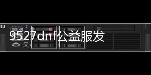 9527dnf公益服发布网（dnf公益服发布网什么意思）