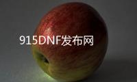 915DNF发布网