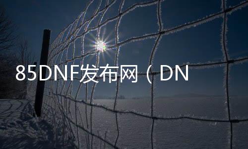 85DNF发布网（DNF发布网85版）