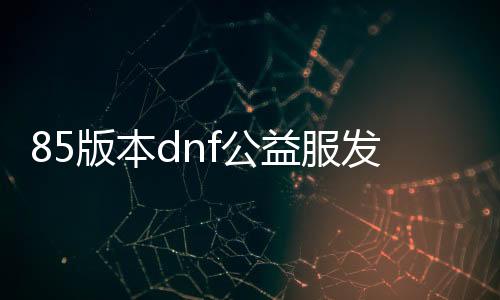 85版本dnf公益服发布网（dnf纯公益服发布网）