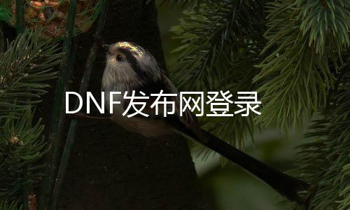 DNF发布网登录