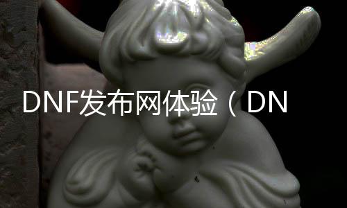 DNF发布网体验（DNF发布网体验服怎么样）