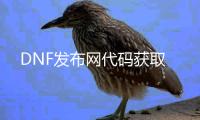 DNF发布网代码获取