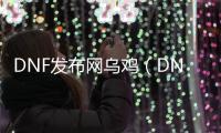 DNF发布网乌鸡（DNF发布网乌鸡是哪个职业）