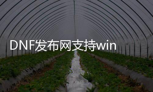 DNF发布网支持win10的私服