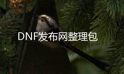 DNF发布网整理包