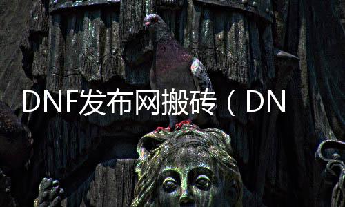 DNF发布网搬砖（DNF发布网与勇士搬砖工具）