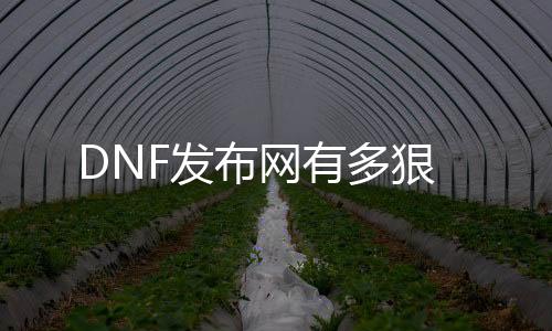 DNF发布网有多狠