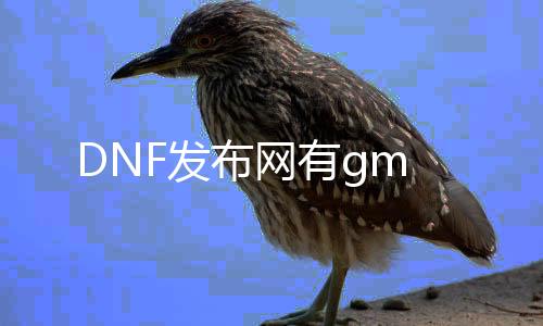 DNF发布网有gm