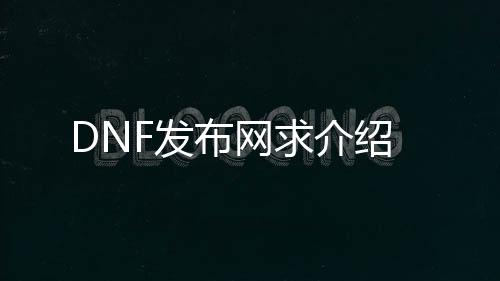 DNF发布网求介绍