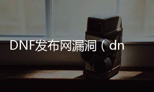 DNF发布网漏洞（dnf早期的漏洞大全）