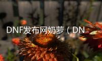 DNF发布网奶萝（DNF发布网与勇士奶萝）