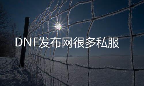 DNF发布网很多私服