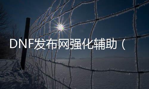 DNF发布网强化辅助（dnf辅助装备强化收益表）