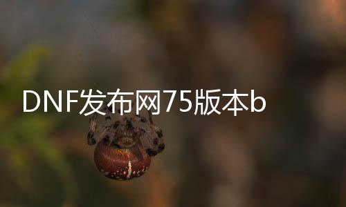 DNF发布网75版本bug（DNF发布网75级版本）