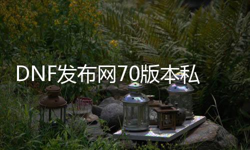 DNF发布网70版本私服下载（70版本DNF发布网在哪下载）