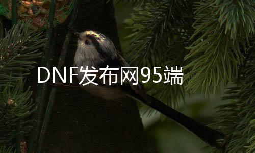 DNF发布网95端