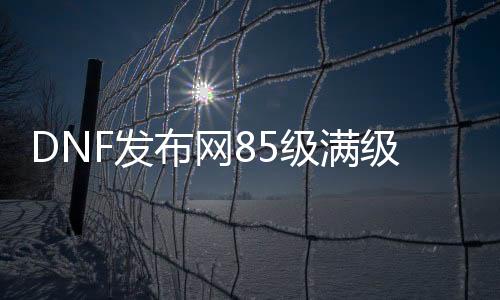 DNF发布网85级满级（DNF发布网85级版本）