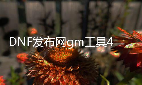 DNF发布网gm工具4.1（DNF发布网与勇士gm工具）