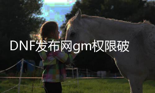 DNF发布网gm权限破解吗