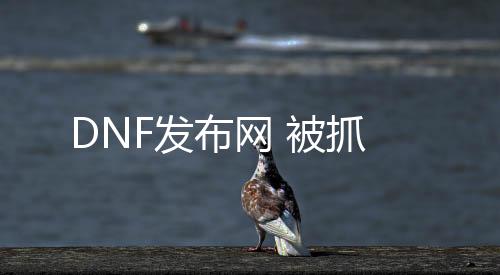 DNF发布网 被抓