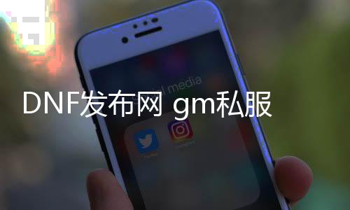 DNF发布网 gm私服