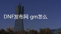 DNF发布网 gm怎么刷东西