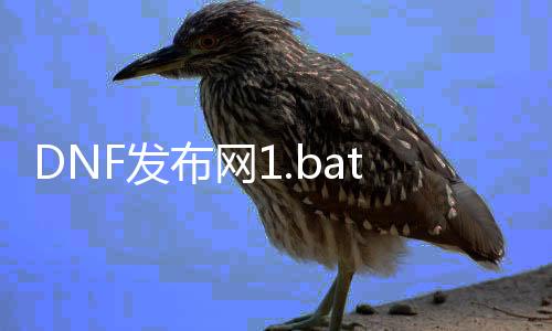 DNF发布网1.bat