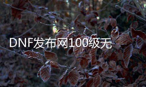 DNF发布网100级无冷却（DNF发布网100级减一百冷却）