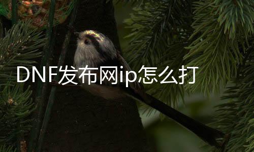 DNF发布网ip怎么打