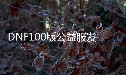 DNF100版公益服发布网（dnf100级公益服发布网）