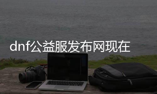 dnf公益服发布网现在还有人玩吗（了解当前dnf公益服发布网的人气情况）