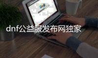 dnf公益服发布网独家定制版（dnf公益网）