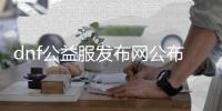 dnf公益服发布网公布网（dnf公益服发布网啥意思）