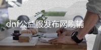 dnf公益服发布网刷辅助（最新刷辅助方法分享）