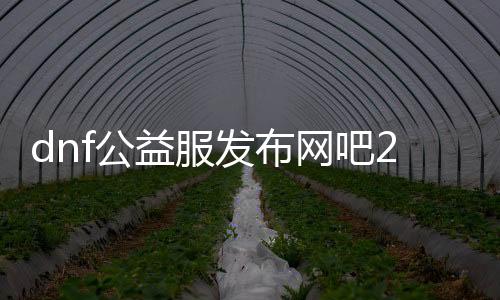 dnf公益服发布网吧2018（最新版本公益服发布网推荐）