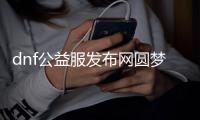 dnf公益服发布网圆梦青春（dnf公益服发布网吧）