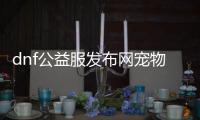 dnf公益服发布网宠物装备（宠物装备获取攻略）