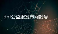 dnf公益服发布网封号了怎么接（dnf公益服发布网辅助会被检测吗）