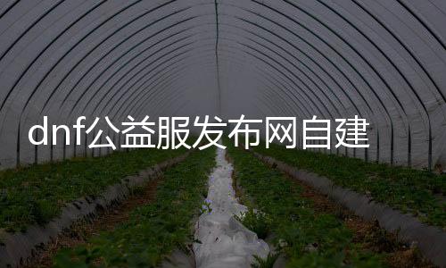 dnf公益服发布网自建（打造属于自己的DNF公益服发布网务器）