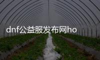 dnf公益服发布网hosts下载（dnf公益服发布网hosts文件获取方法）