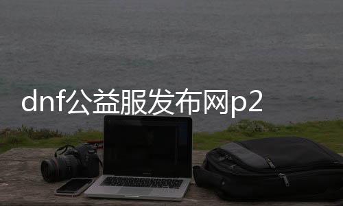 dnf公益服发布网p2sbbs（dnf公益服发布网cdk漏洞）