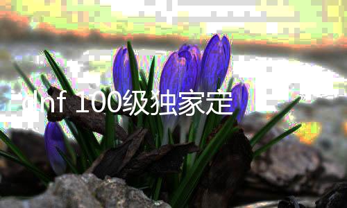 dnf 100级独家定制公益服发布网（带你体验最新的dnf公益服发布网）