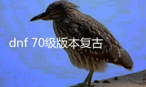 dnf 70级版本复古公益服发布网（DNF发布网70公益服发布网）