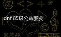 dnf 85级公益服发布网（畅玩经典DNF的最佳选择）