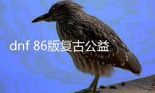 dnf 86版复古公益服发布网（60版本dnf公益服发布网）