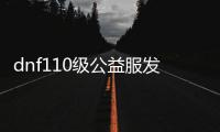 dnf110级公益服发布网（史上最全攻略分享）