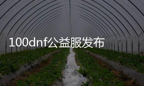 100dnf公益服发布网（dnf公益服发布网违法吗）